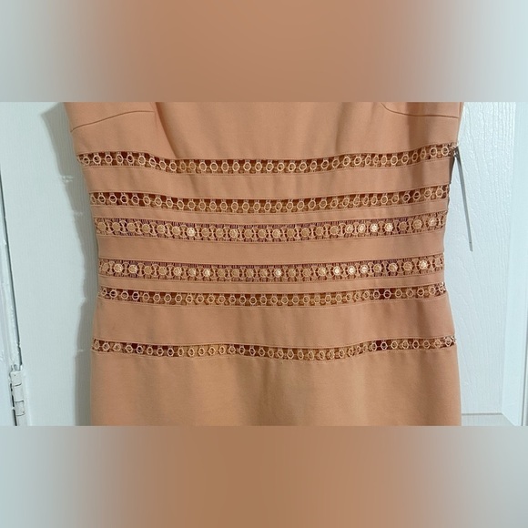 Antonio Melani Estelle Dress Size 10 Persimmon Sleeveless Sheath - Picture 4 of 9